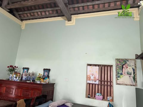 Vật Liệu Nhựa Ốp Tường Vật Liệu Nhựa Ốp Tường